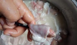 大厨爆料小肠视频大全